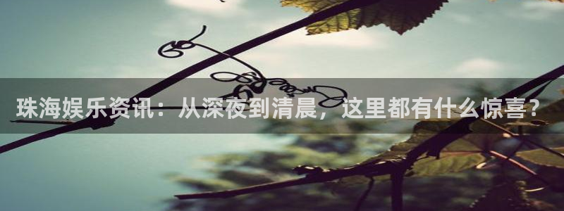极悦平台软件：珠海娱乐资讯：从深夜到清晨，这里都有什么惊喜？