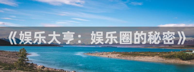 壹号下载官网入口：《娱乐大亨：娱乐圈的秘密》