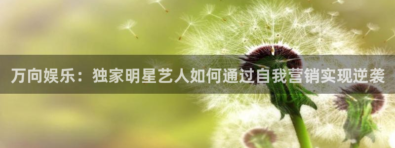 极悦平台充值怎么退款：万向娱乐：独家明星艺人如何通过自我营销实现逆袭