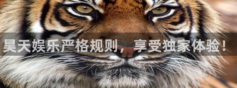 壹号app下载：昊天娱乐严格规则，享受独家体验！