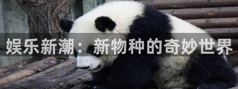 极悦平台平台官网版下载：娱乐新潮：新物种的奇妙世界