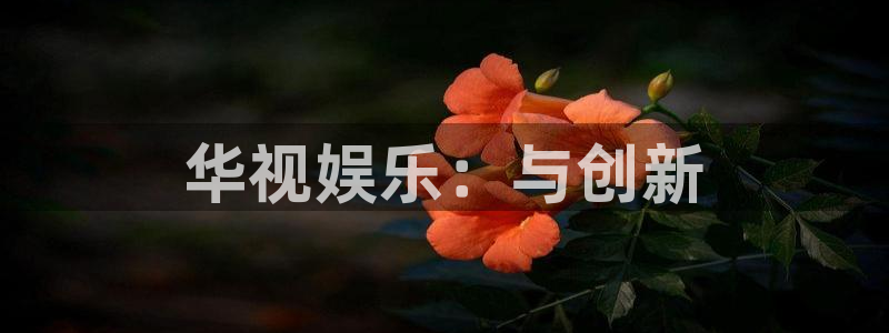 极悦平台下载官网入口在哪：华视娱乐：与创新
