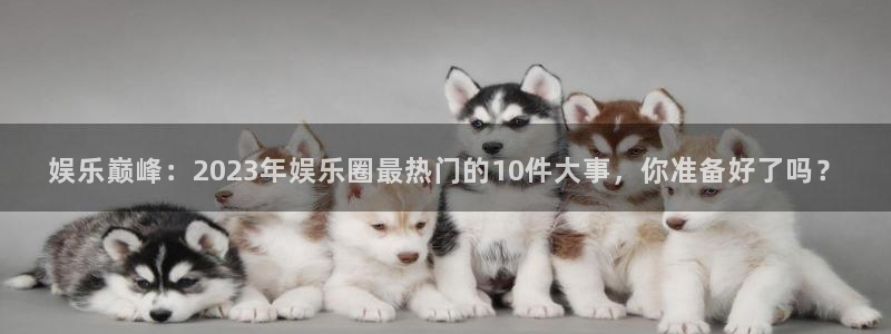 壹号国际app免费下载安装：娱乐巅峰：2023年娱乐圈最热门的10件大事，你准备好了吗？