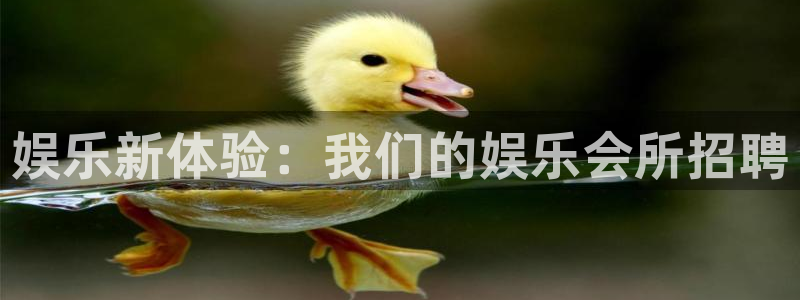 极悦平台下载地址：娱乐新体验：我们的娱乐会所招聘