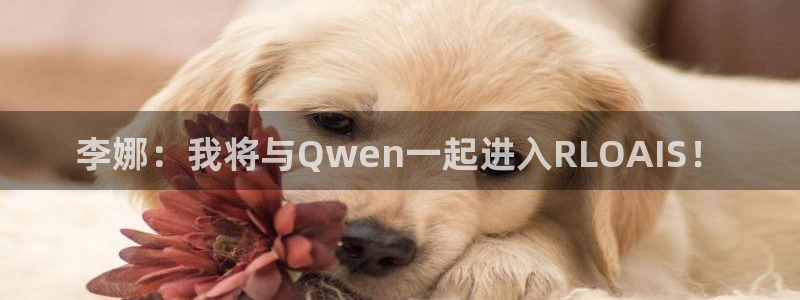 极悦平台怎么下载：李娜：我将与Qwen一起进入RLOAIS！