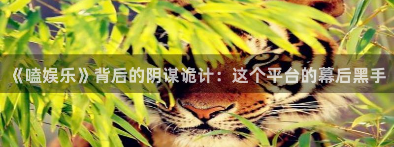 壹号大舞台：《嗑娱乐》背后的阴谋诡计：这个平台的幕后黑手