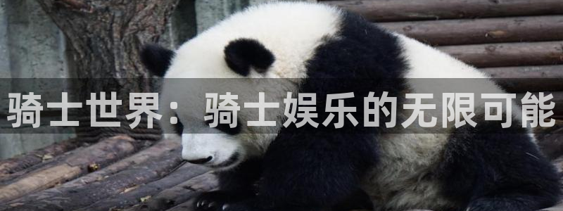 极悦平台平台官网入口：骑士世界：骑士娱乐的无限可能