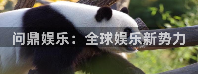 极悦平台：问鼎娱乐：全球娱乐新势力