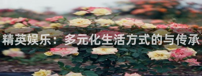极悦平台网站：精英娱乐：多元化生活方式的与传承