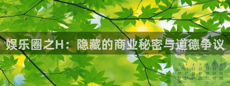 壹号大舞台娱乐app下载安装：娱乐圈之H：隐藏的商业秘密与道德争议
