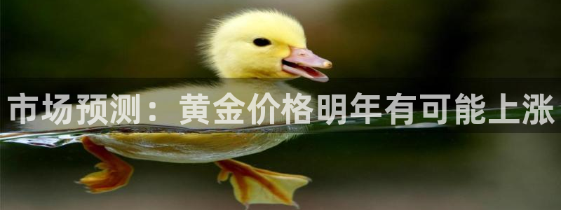 极悦平台：市场预测：黄金价格明年有可能上涨