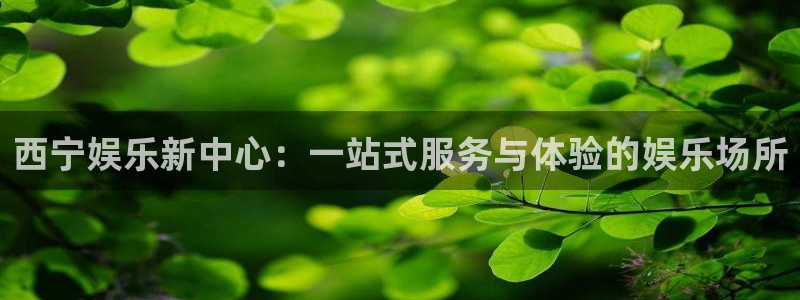 极悦平台怎么下载：西宁娱乐新中心：一站式服务与体验的娱乐场所